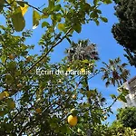 בית נופש La Turquoise A 250m De La Clim Parking Wifi! *