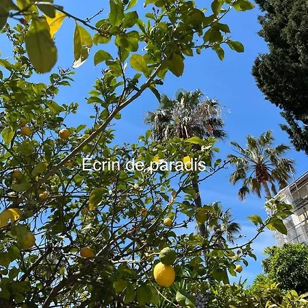 Tatil Evi La Turquoise A 250m De La Clim Parking Wifi! *